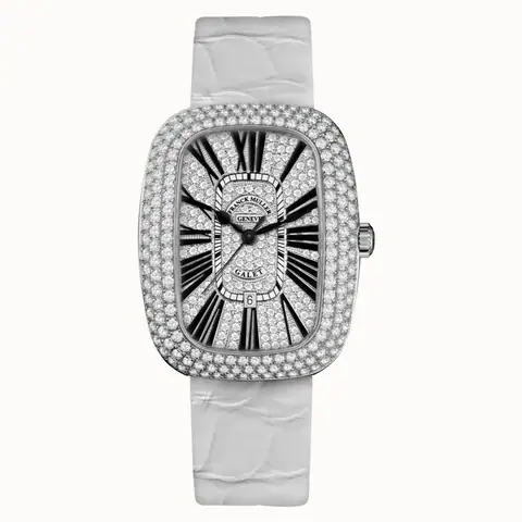 Franck Muller 3000 H SC DT R D3 CD