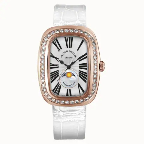 Franck Muller 3000 M SC L R D1