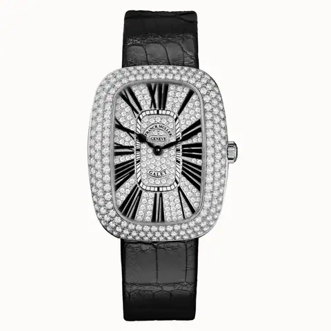 Franck Muller 3002 M QZ R D3 CD