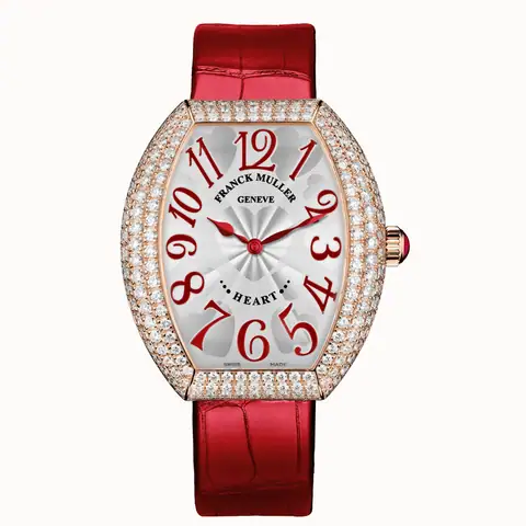 Franck Muller 5002 QZ D3 5N
