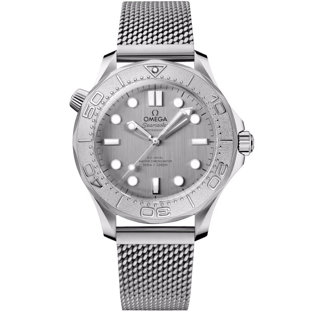 Omega Seamaster Diver 300M 42 mm, steel on steel, Diver 300M 210.30.42.20.06.002