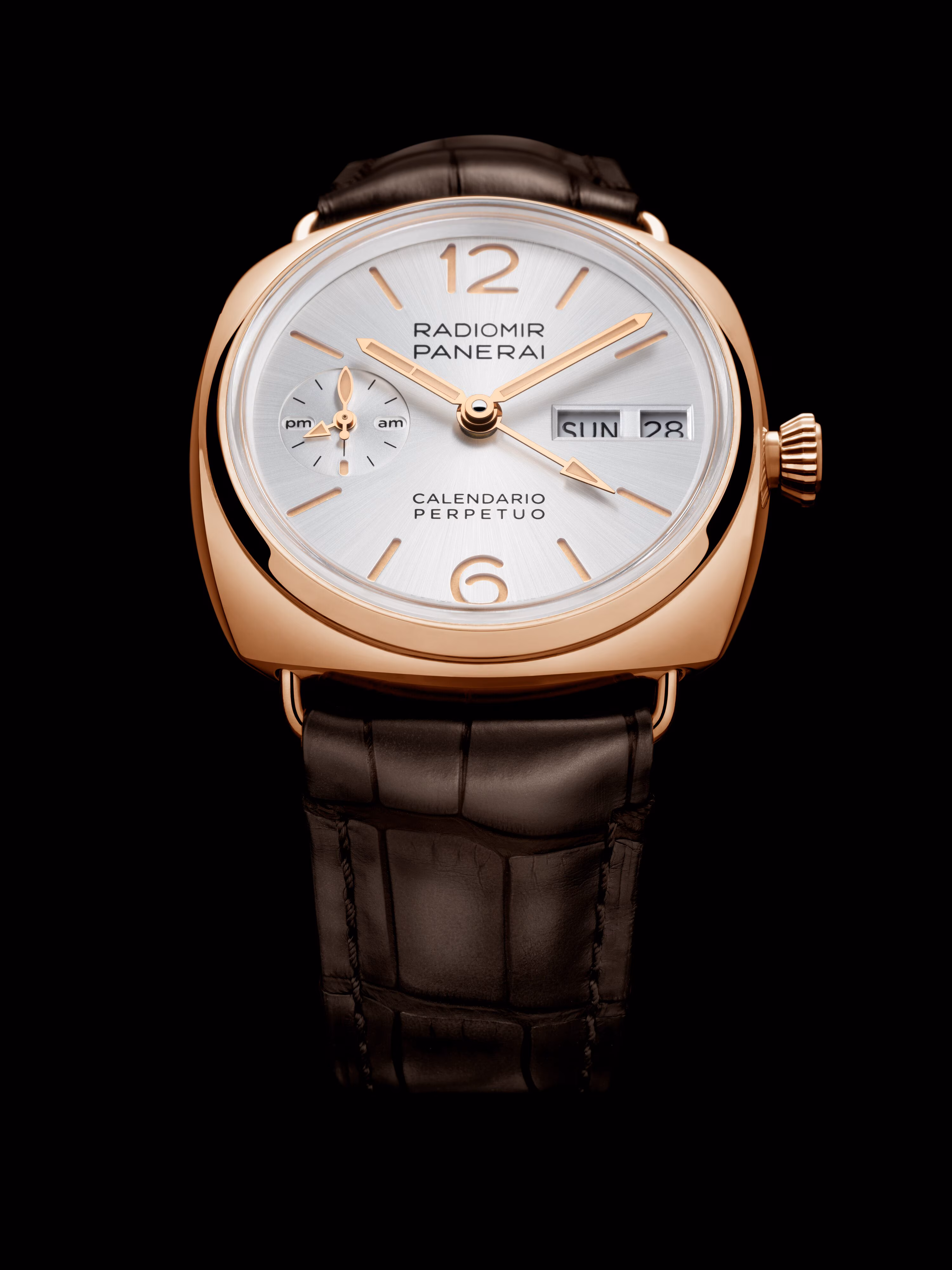 Panerai Radiomir Perpetual Calendar PAM01453