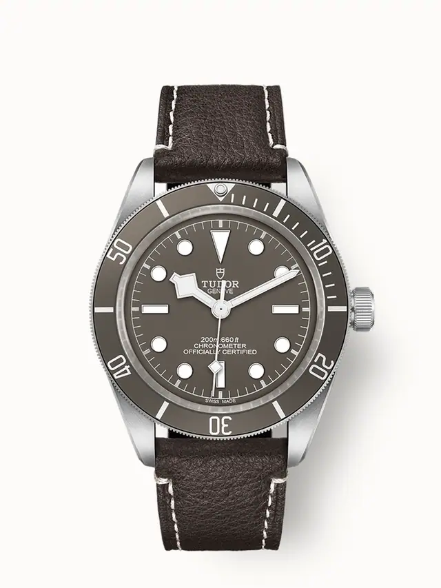 Tudor Black Bay 58 925, 39mm silver case, Taupe dial 79010SG-0001