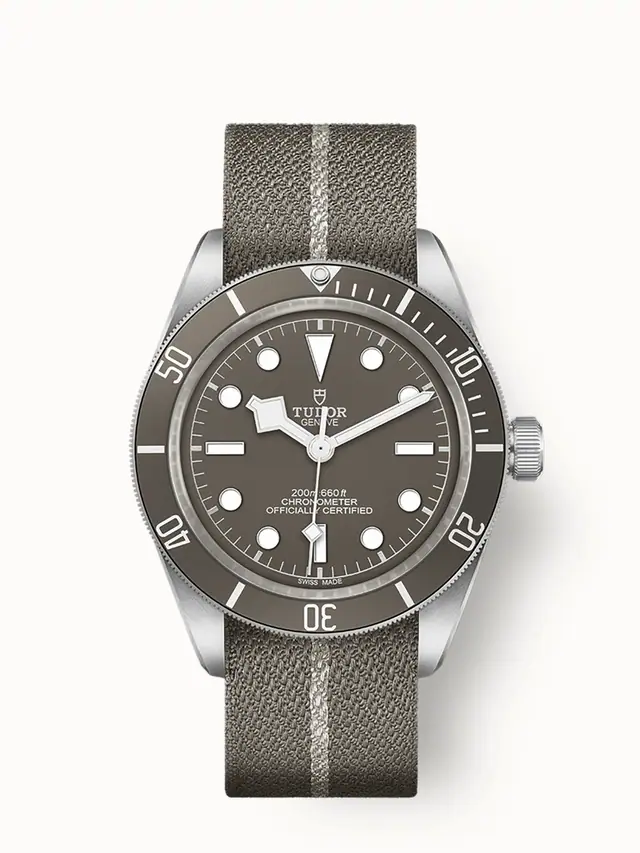 Tudor Black Bay 58 925, 39mm silver case, Taupe dial 79010SG-0002