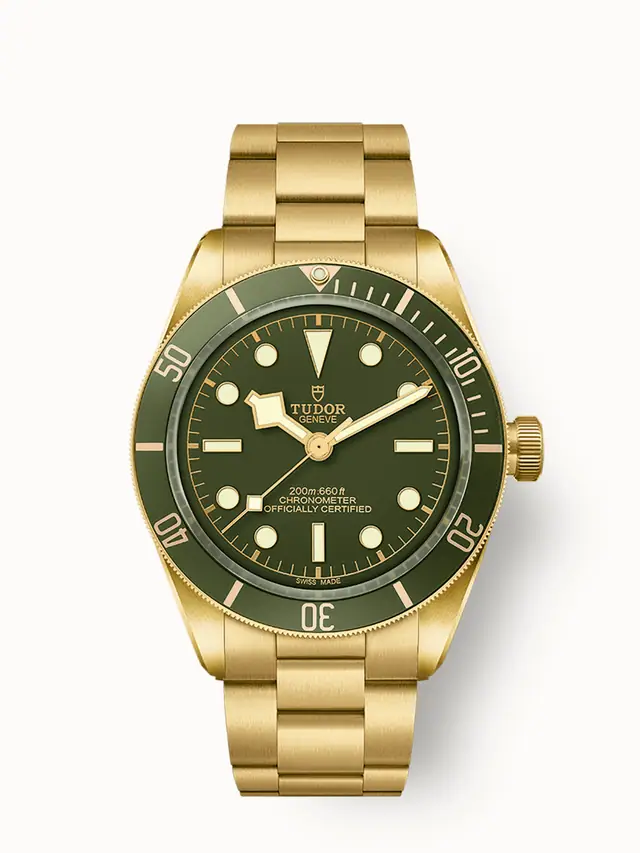 Tudor Black Bay 58 18K, 39mm yellow gold case, Yellow gold bracelet M79018V-0006