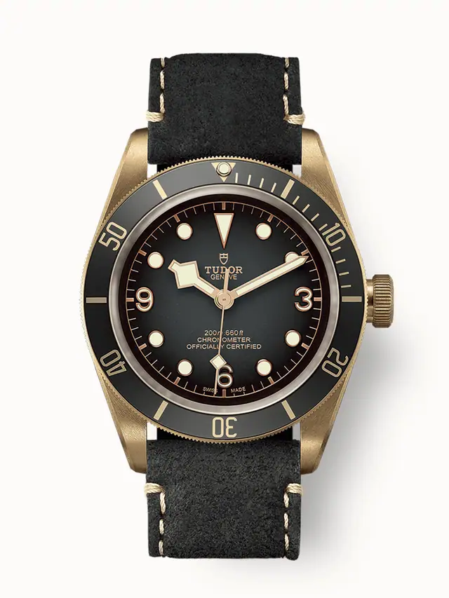 Tudor Black Bay Bronze, 43mm bronze case, Slate-grey dial 79250BA-0001