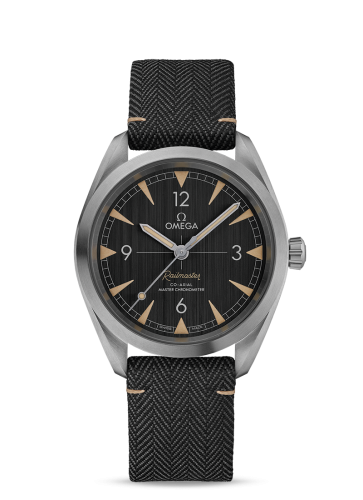 Railmaster Omega Co-Axial Master Chronometer 40 Stainless Steel / Grey / Strap 220.12.40.20.01.001