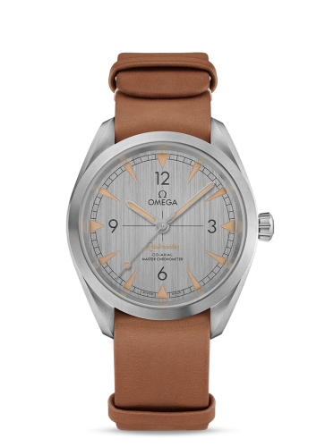 Railmaster Omega Co-Axial Master Chronometer 40 Stainless Steel / Silver / Strap 220.12.40.20.06.001