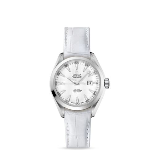 Omega Seamaster Aqua Terra 150M Co-Axial 34 Stainless Steel / Silver 231.13.34.20.04.001