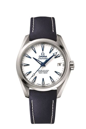 Omega Seamaster Aqua Terra 150M Master Co-Axial 38.5 Titanium / White / GoodPlanet 231.92.39.21.04.001