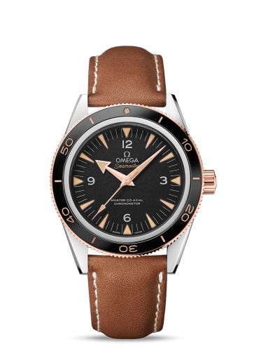 Omega Seamaster 300 Master Co-Axial Steel Stainless Steel / Sedna Gold / Strap 233.22.41.21.01.002