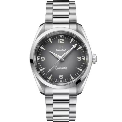 Railmaster Omega Co-Axial Master Chronometer 38 Stainless Steel / Grey Gradient / Bracelet 235.10.38.20.06.001