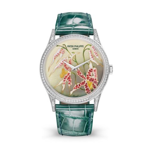Patek Philippe Calatrava 5077 White Gold / Diamond / Orchids 5077/100G-032