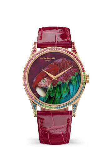Patek Philippe Calatrava 5077 Rose Gold / Green-Winged Macaw 5077/211R-001