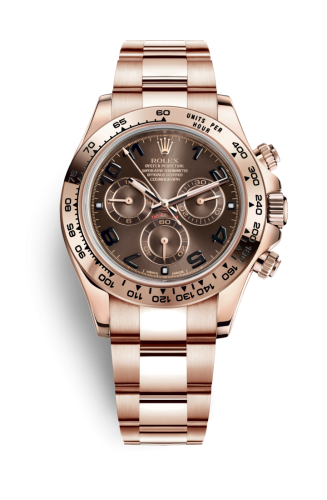 Rolex Cosmograph Daytona Everose / Chocolate 116505-0004