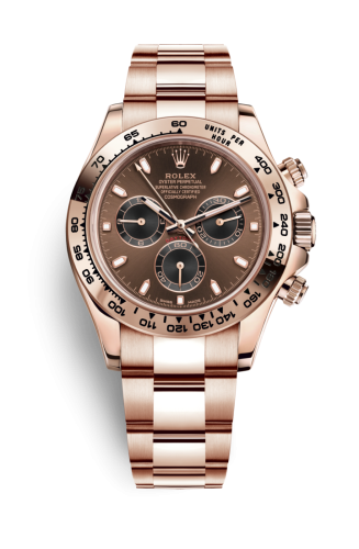 Rolex Cosmograph Daytona Everose / Chocolate 116505-0013