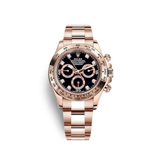 Rolex Cosmograph Daytona Everose / Black - Diamond 116505-0015