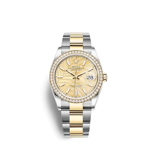 Rolex Datejust 36 Stainless Steel / Yellow Gold / Diamond / Champagne - Palm / Oyster 126283RBR-0024