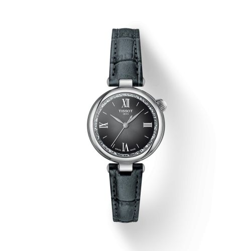 Tissot Desir Stainless Steel / Grey T152.010.16.038.00