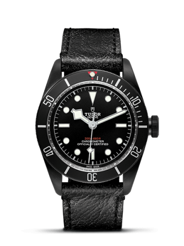 Tudor Heritage Black Bay Black Dark / Strap 79230DK-0003