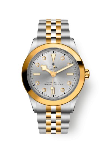 Tudor Black Bay 39 S&G / Silver - Diamond / Bracelet 79663-0007