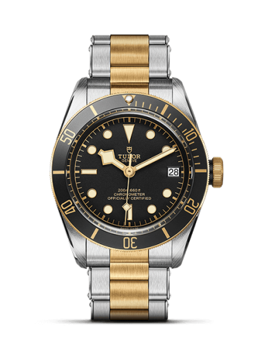 Tudor Heritage Black Bay Black S&G / Stainless Steel / Yellow Gold / Black / Bracelet 79733N-0002
